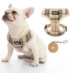 Comfortable No-Pull Mesh Dog Harness for Puppies
