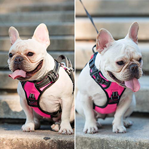 PoyPet No Pull Dog Harness, No Choke Front Lead Dog Reflective Harness, Adjustable Soft Padded Pet Vest with Easy Control Handle for Small to Large Dogs(Pink, Medium) from PoyPet