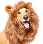 Dog Lion Mane Costume by Pet Krewe