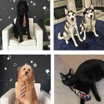 Adjustable Pet Bowties and Collars for Dogs