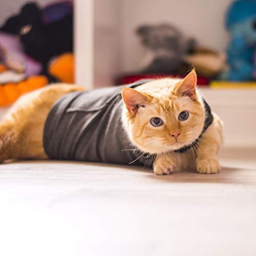 ThunderShirt Classic Cat Anxiety Jacket, Heather Gray, Medium by Thundershirt