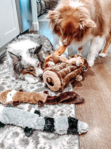 ZippyPaws - Skinny Peltz No Stuffing Squeaky Plush Dog Toy, Fox, Raccoon, and Squirrel - Large from ZippyPaws