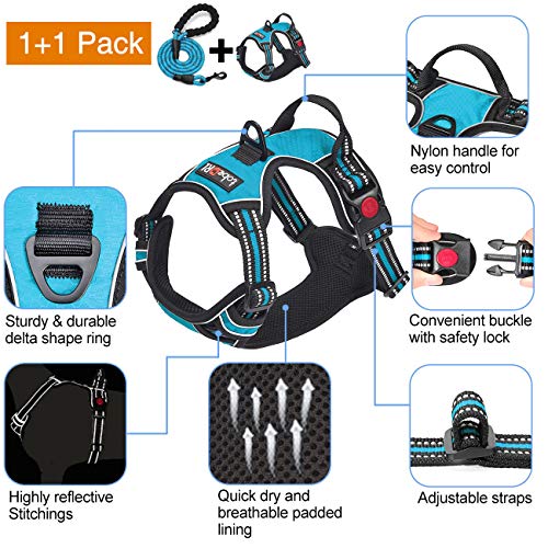 tobeDRI No Pull Dog Harness Adjustable Reflective Oxford Easy Control Medium Large Dog Harness with A Free Heavy Duty 5ft Dog Leash (L (Neck: 18"-25.5", Chest: 24.5"-33"), Blue Harness+Leash) from tobedri