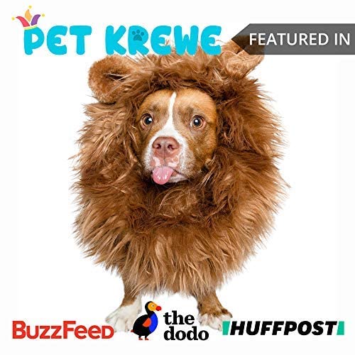 Pet Krewe Dog Lion Mane Halloween Costume â Fits Neck Size 13â- 32â- Lion Mane for Small Dogs â Ideal for Halloween, Dog Birthday, Dog Cosplay, Dog Outfits, Pet Clothes (Large) from Pet Krewe