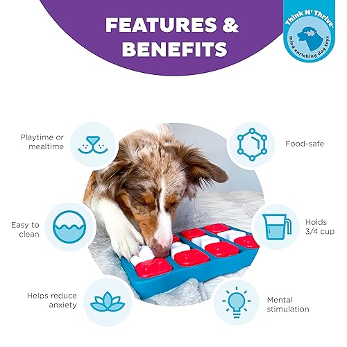Nina Ottosson by Outward Hound Dog Brick Interactive Treat Puzzle Dog Toy, Intermediate by Outward Hound