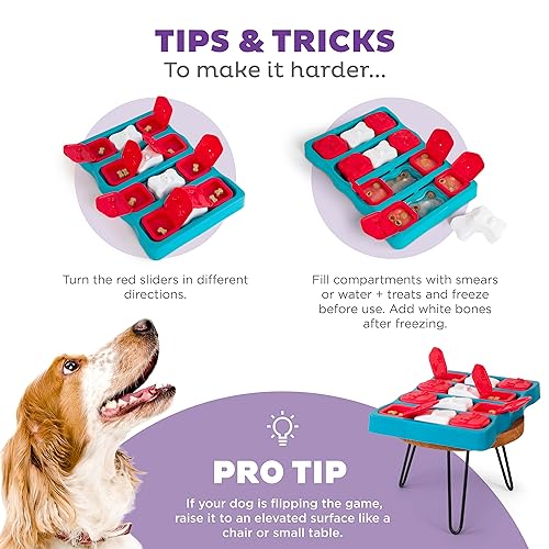 Nina Ottosson by Outward Hound Dog Brick Interactive Treat Puzzle Dog Toy, Intermediate by Outward Hound