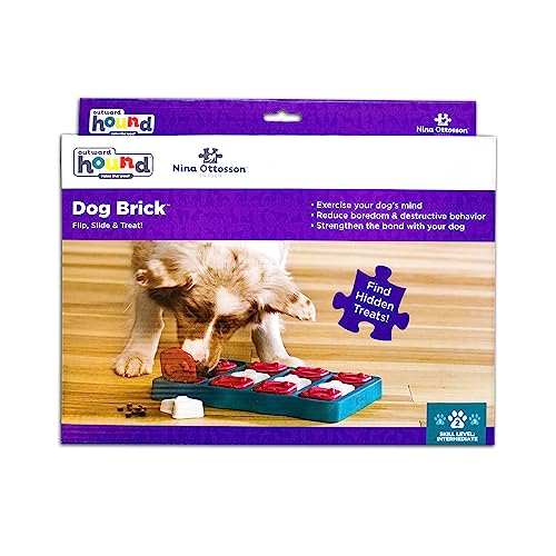 Nina Ottosson by Outward Hound Dog Brick Interactive Treat Puzzle Dog Toy, Intermediate by Outward Hound