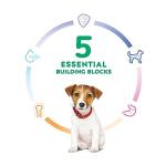 Hill's Science Diet Small Bites Puppy Food