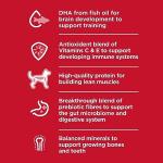 Hill's Science Diet Small Bites Puppy Food