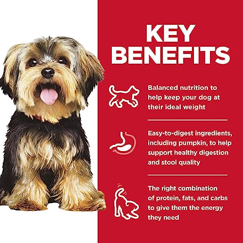 Hill's Science Diet Dry Dog Food, Adult, Small Paws for Small Breed Dogs, Chicken Meal & Rice, 4.5 lb. Bag from Hill's Science Diet Dog