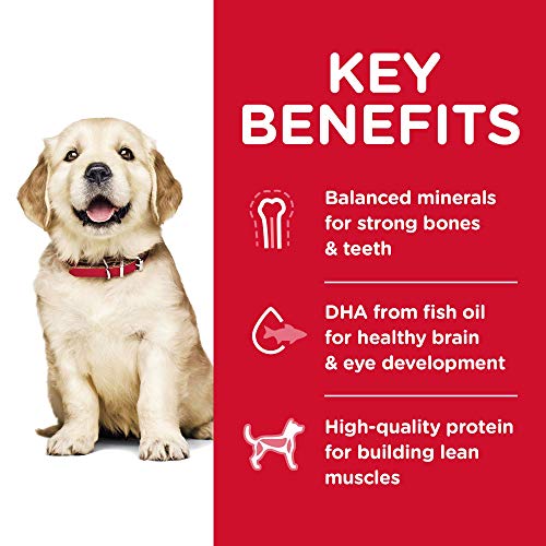 Hill's Science Diet Dry Dog Food, Puppy, Large Breeds, Chicken Meal and Oats Recipe, 30 lb. Bag from Hill's Science Diet Dog