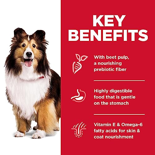Hill's Science Diet Dry Dog Food, Adult, Sensitive Stomach & Skin, Chicken Recipe, 30 Lb Bag from Hill's Science Diet Dog