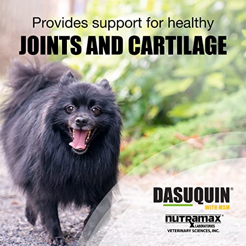 Nutramax Laboratories Dasuquin with MSM Soft Chews from Nutramax Laboratories