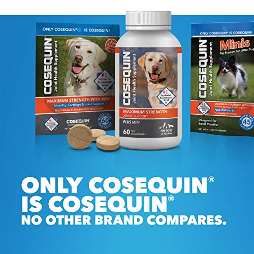 Nutramax Laboratories Cosequin Soft Chews with MSM and Omega-3s, 120 Ct from Nutramax Laboratories