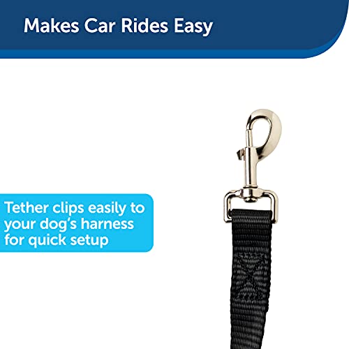 PetSafe Happy Ride Dog Zipline - Back Seat Leash, Great for Travel by Radio Systems Corporation