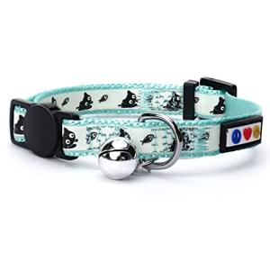 Teal Glow in The Dark Cat Collar with Bell