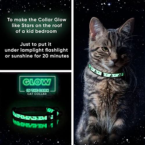 Pawtitas Glow in The Dark Cat Collar with Safety Buckle and Removable Bell Cat Collar Kitten Collar Teal Cat Collar by Pawtitas