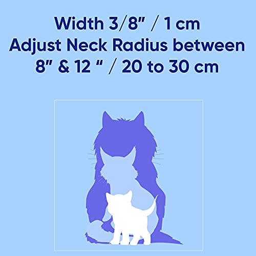 Pawtitas Glow in The Dark Cat Collar with Safety Buckle and Removable Bell Cat Collar Kitten Collar Teal Cat Collar by Pawtitas