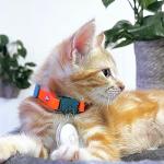 Kittyrama Hypoallergenic Cat Collars - Soft Tangerine