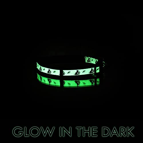 Pawtitas Glow in The Dark Cat Collar with Safety Buckle and Removable Bell Cat Collar Kitten Collar Teal Cat Collar by Pawtitas
