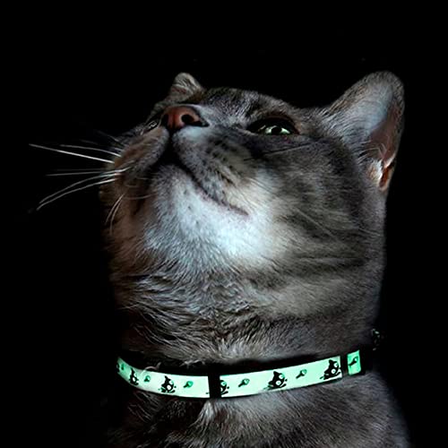 Pawtitas Glow in The Dark Cat Collar with Safety Buckle and Removable Bell Cat Collar Kitten Collar Teal Cat Collar by Pawtitas