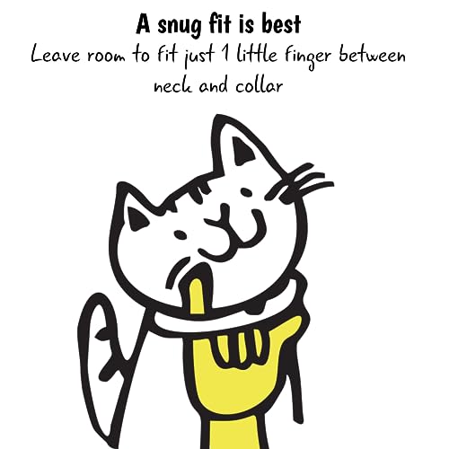 Kittyrama Cat & Kitten Collars. As Seen in Vogue. Award Winning. Vet Approved. Breakaway, Hypoallergenic, Comfy & Soft. Other Styles Available by Kittyrama