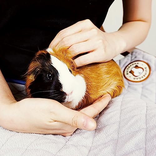 GuineaDad Grey Fleece Bedding - Pack of 3