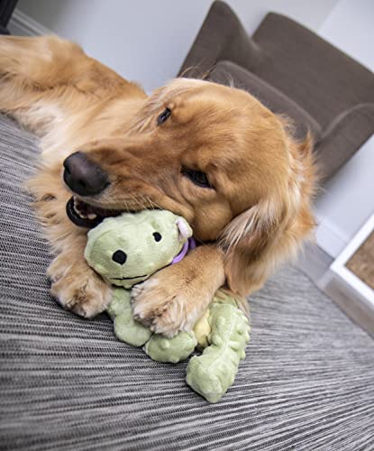goDog Dragon With Chew Guard Technology Tough Plush Dog Toy, Lime, Large by Sherpa
