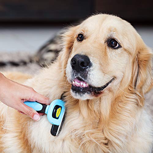 DakPets Pet Grooming Brush Effectively Reduces Shedding by up to 95% Professional Deshedding Tool for Dogs and Cats from DakPets