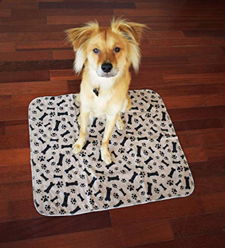 Elegant Puppy Training Pads for Dogs