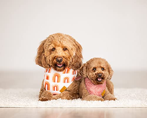 Remy+Roo Dog Bandanas - Rubi Set | Premium Fabric | Unique Shape | Adjustable Fit | Multiple Sizes