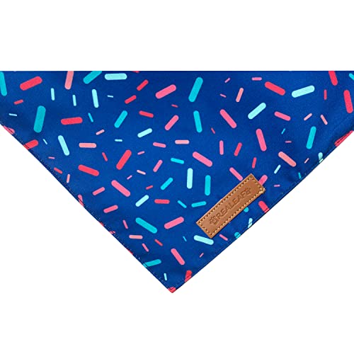 Realeaf Dog Birthday Bandanas - Blue and Pink