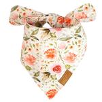 Remy+Roo Adjustable Dog Bandanas - 4 Pack