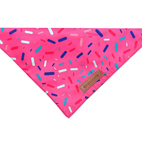 Realeaf Dog Birthday Bandanas - Blue and Pink