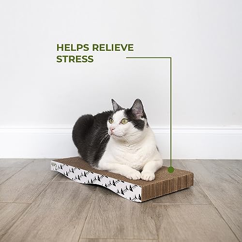 2-Pack Reversible Corrugated Cat Scratcher - Ultimate Playtime