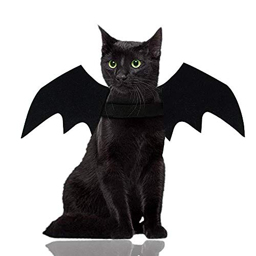 Malier Halloween Cat Costume for Cats Dogs Pet Bat Wings Cat Dog Bat Costume Wings (Small) from Malier