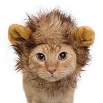 Lion Mane Wig Costume for Cats and Small Dogs