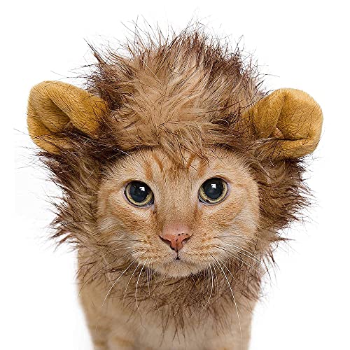 Pet Krewe Cat Lion Mane Halloween Costume â Fits Neck Size 8â-14 - Lion Costume for Small Cats and Kittens â Ideal for Halloween, Cat Birthday, Cat Cosplay, Cat Outfits, Pet Clothes from Pet Krewe