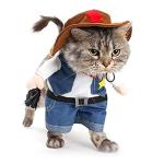 Adorable Cowboy Jacket for Small Dogs and Cats