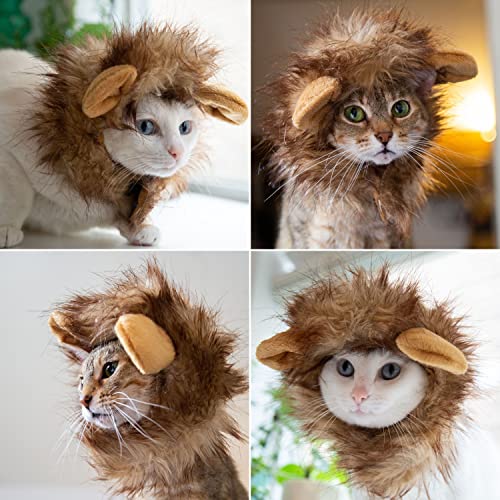Pet Krewe Cat Lion Mane Halloween Costume â Fits Neck Size 8â-14 - Lion Costume for Small Cats and Kittens â Ideal for Halloween, Cat Birthday, Cat Cosplay, Cat Outfits, Pet Clothes from Pet Krewe