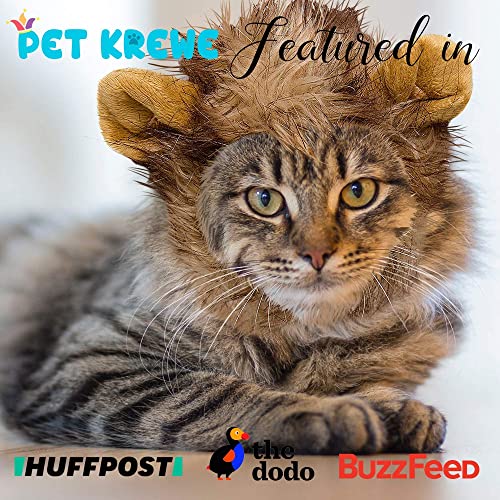 Pet Krewe Cat Lion Mane Halloween Costume â Fits Neck Size 8â-14 - Lion Costume for Small Cats and Kittens â Ideal for Halloween, Cat Birthday, Cat Cosplay, Cat Outfits, Pet Clothes from Pet Krewe