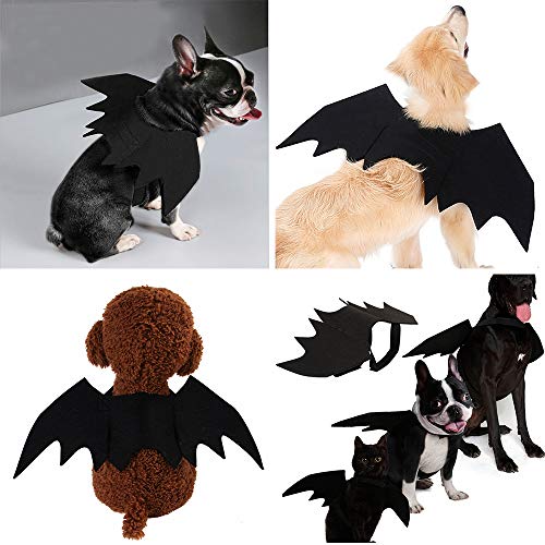 Malier Halloween Cat Costume for Cats Dogs Pet Bat Wings Cat Dog Bat Costume Wings (Small) from Malier