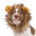 Lion Mane Wig Costume for Cats and Small Dogs