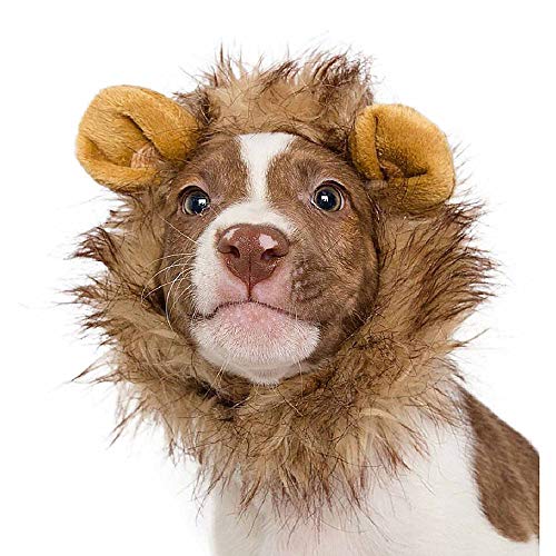 Pet Krewe Cat Lion Mane Halloween Costume â Fits Neck Size 8â-14 - Lion Costume for Small Cats and Kittens â Ideal for Halloween, Cat Birthday, Cat Cosplay, Cat Outfits, Pet Clothes from Pet Krewe