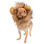Lion Mane Wig Costume for Cats and Small Dogs