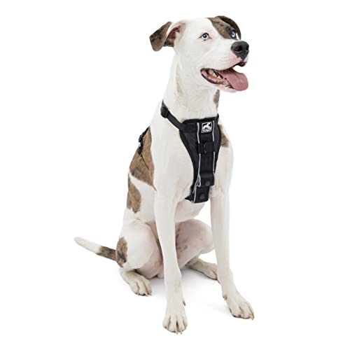 Kurgo Dog Harness | Pet Walking Harness | Medium | Black | No Pull Harness Front Clip Feature for Training Included | Car Seat Belt | Tru-Fit Quick Release Style from Kurgo