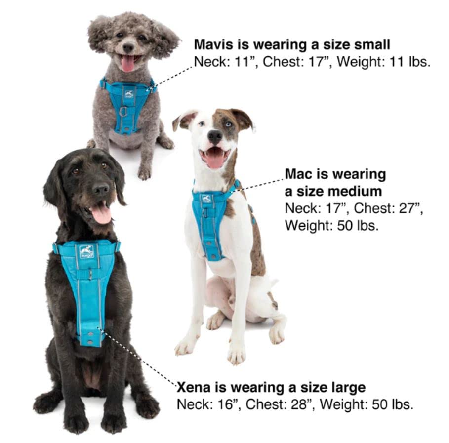 Kurgo Dog Harness | Pet Walking Harness | Medium | Black | No Pull Harness Front Clip Feature for Training Included | Car Seat Belt | Tru-Fit Quick Release Style from Kurgo