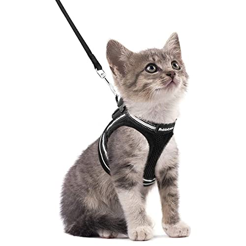 rabbitgoo Cat Harness and Leash Set for Walking Escape Proof, Adjustable Soft Kittens Vest with Reflective Strip for Cats, Comfortable Outdoor Vest, Black, S (Chest:9.0"-12.0") by GLOBEGOU CO.,LTD