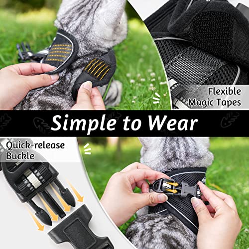 rabbitgoo Cat Harness and Leash Set for Walking Escape Proof, Adjustable Soft Kittens Vest with Reflective Strip for Cats, Comfortable Outdoor Vest, Black, S (Chest:9.0"-12.0") by GLOBEGOU CO.,LTD