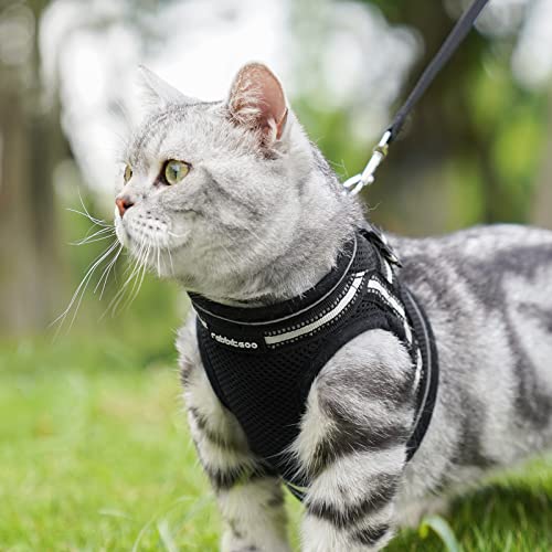 rabbitgoo Cat Harness and Leash Set for Walking Escape Proof, Adjustable Soft Kittens Vest with Reflective Strip for Cats, Comfortable Outdoor Vest, Black, S (Chest:9.0"-12.0") by GLOBEGOU CO.,LTD